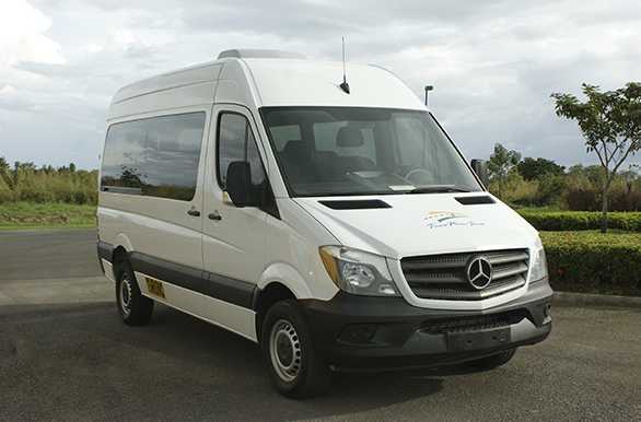 Sprinter