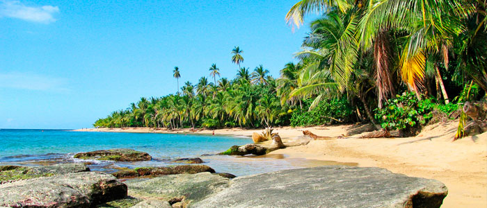 Caribbean